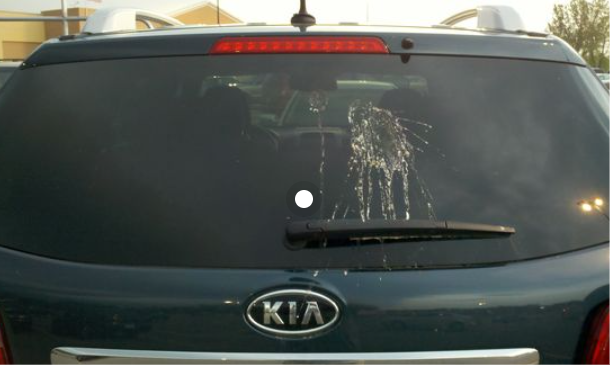 best way to get bird poop off car
